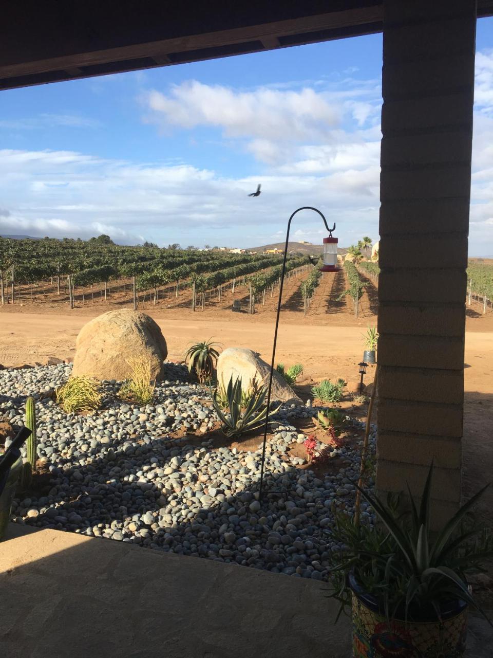 En'Kanto Valle De Guadalupe San Marcos  Exterior photo